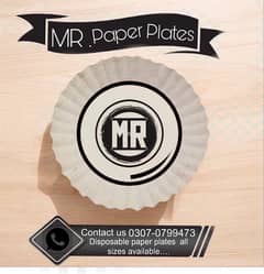 disposable paper plates