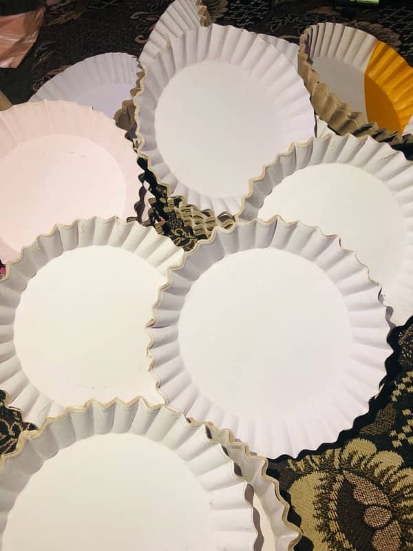 disposable paper plates 4