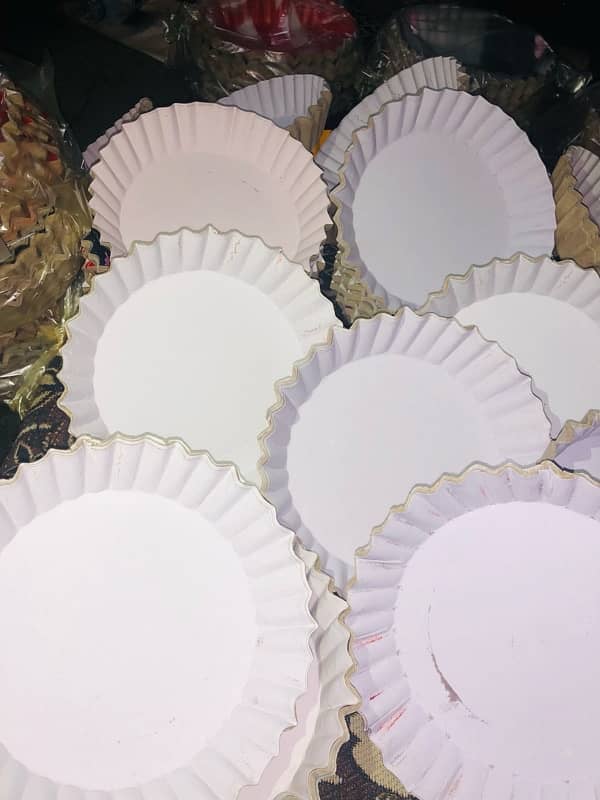 disposable paper plates 5