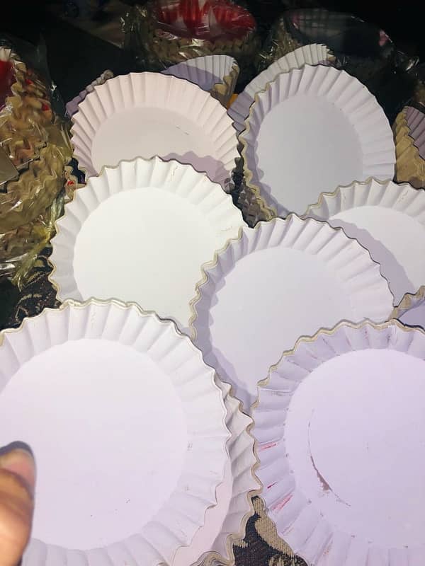 disposable paper plates 6