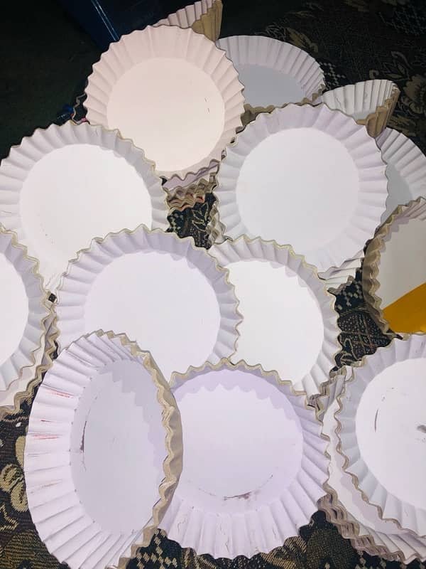 disposable paper plates 7