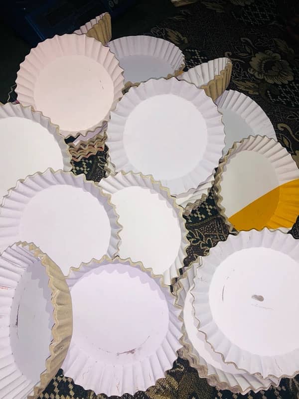 disposable paper plates 8