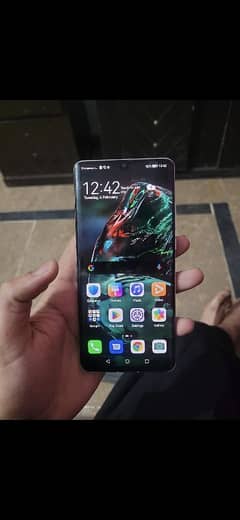 P30 pro dual sim pta approved