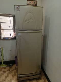 Fridge