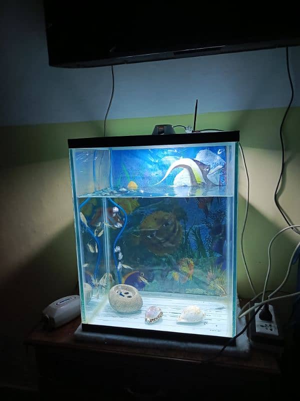 only aquarium and books table for sale 0