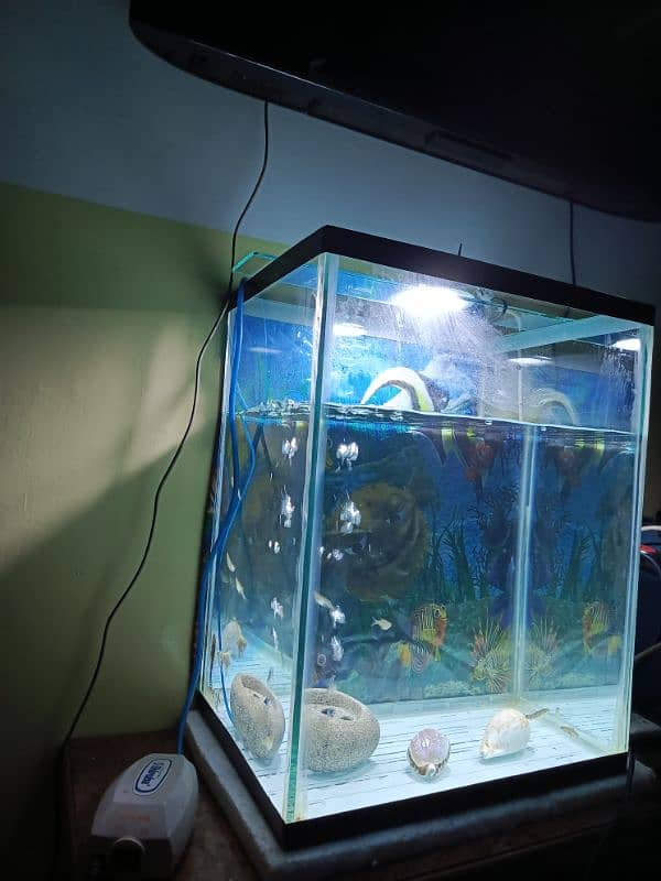 only aquarium and books table for sale 1