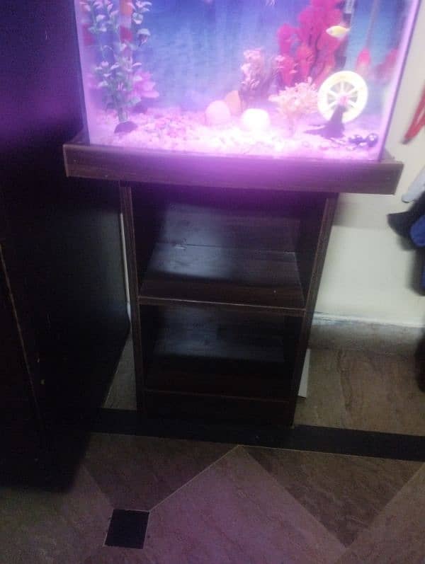 1 Big Goldfish, 4 ( tetra) ,2 (Angel Fish) 6