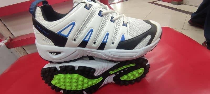 Taip boll shoes for cricket 1