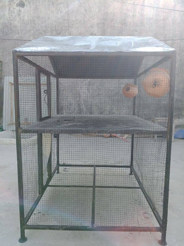 hen and bird cage 1