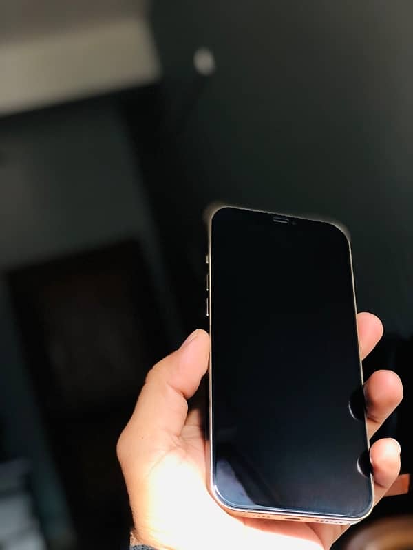 Iphone 12 pro max 256 gb Pta approved 1