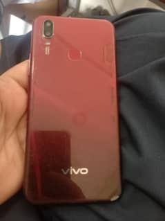 vivo