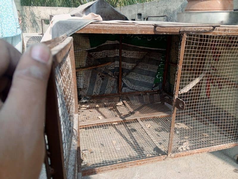 cage for sell 3