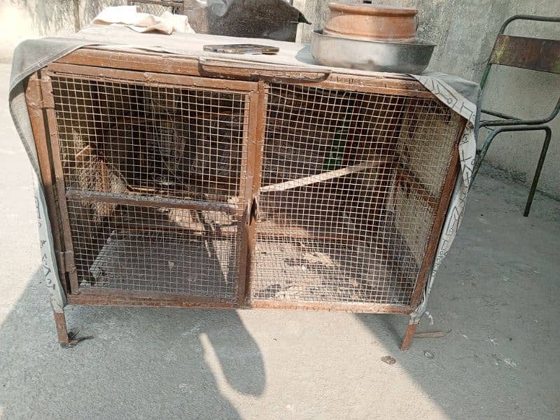 cage for sell 4