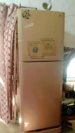 pel fridge jumbo size compresser warranty 6 year ,0311.2126545