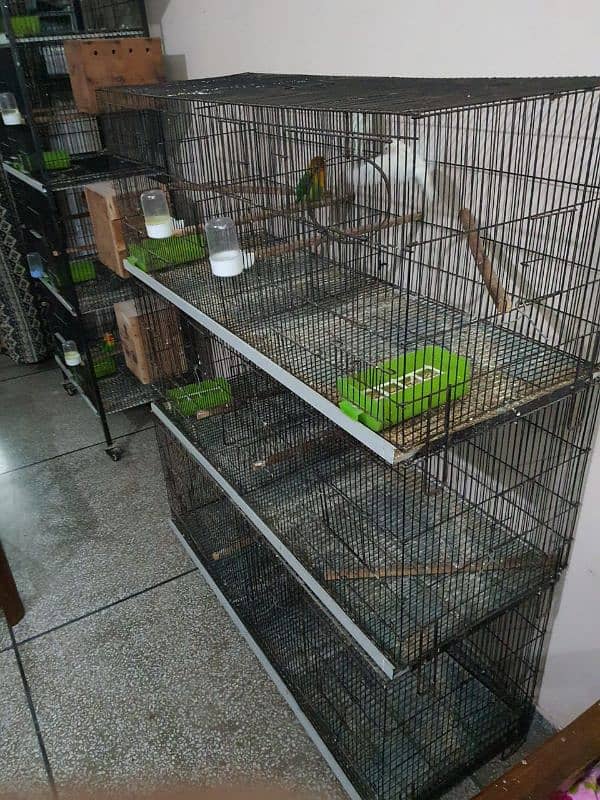 4 ft partition folding cage for birds 3