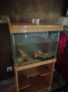 Aquarium 2 ft size