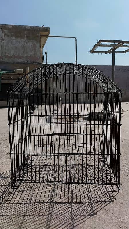 cage for sale 1