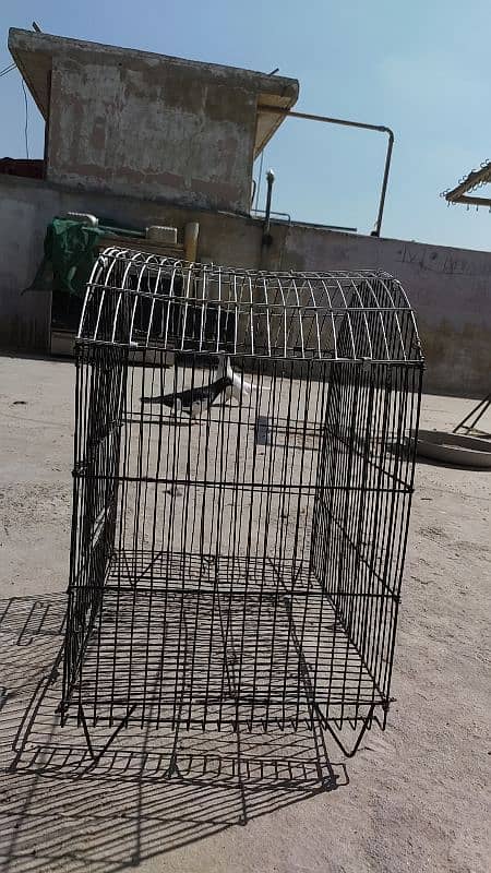 cage for sale 4