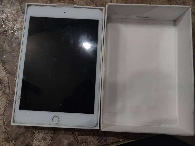 ipad mini 5 0