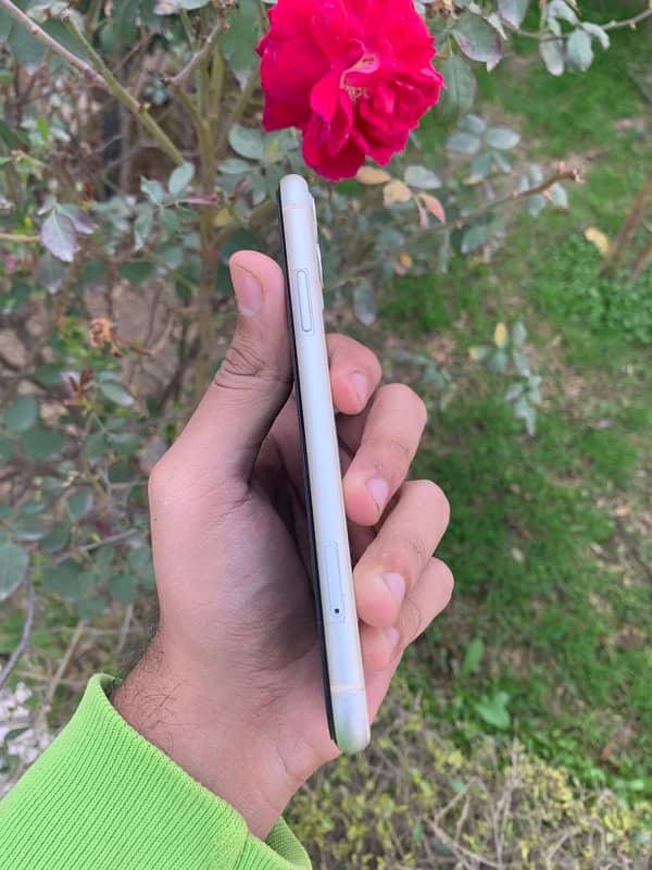 iPhone 11 3