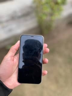 iphone 11 pta  approved white colour