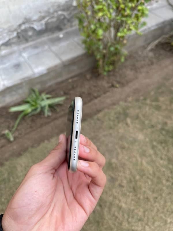 iphone 11 pta  approved white colour 3