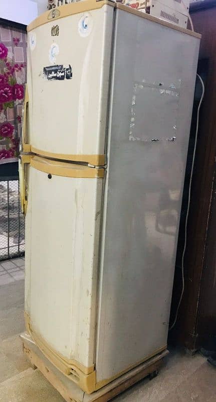 Pel Refrigerator Working Condition 1