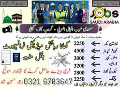 Jobs | jobs in Saudia | company visa| job available | need staff | job