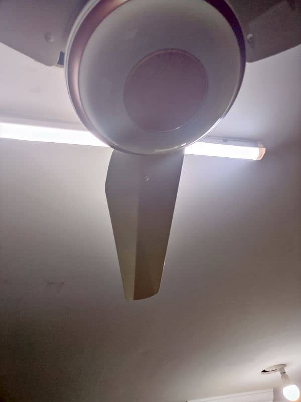 sale My ceiling Fan 0