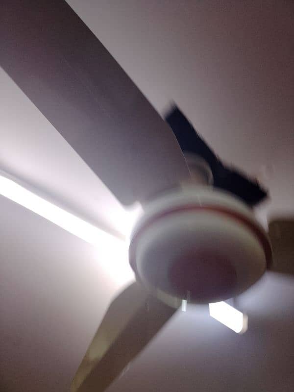 sale My ceiling Fan 1