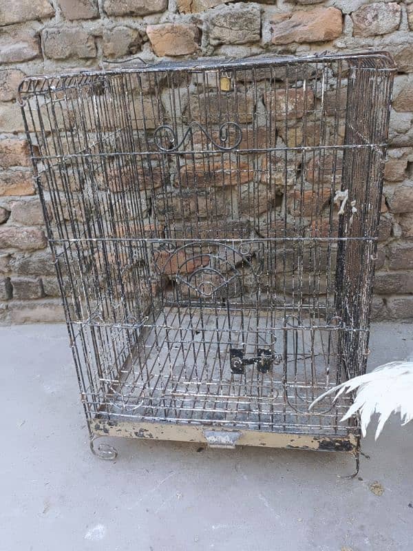 CAGES FOR SALE 7