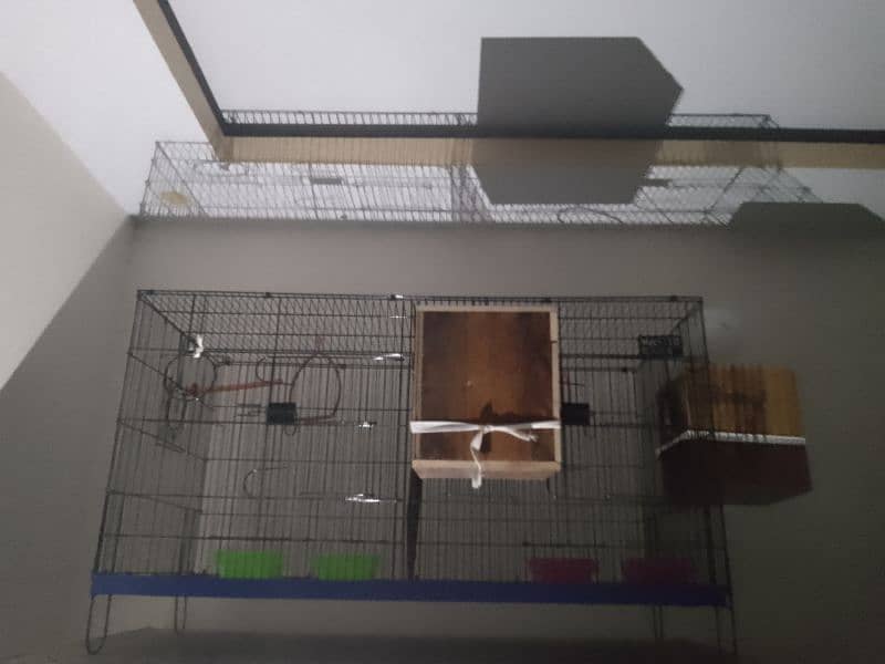 new cage for sale 2 portion cage for sale 5