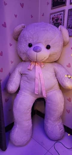 Beautiful Giant teddy bear