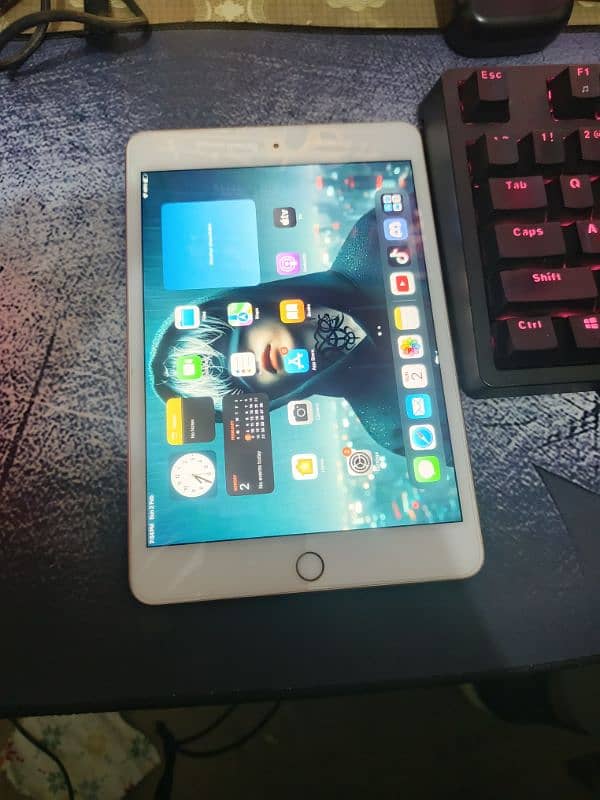 ipad mini 5 with box charger urngent selling 1