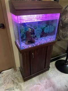 Fish Aquarium