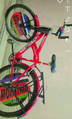 Red Precious Mountain Bike Untouch Less Used Large Size Cycle