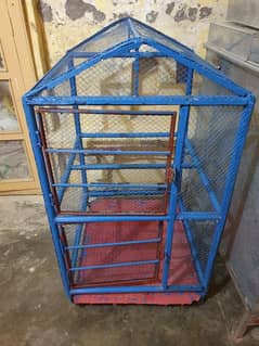 Birds Cage