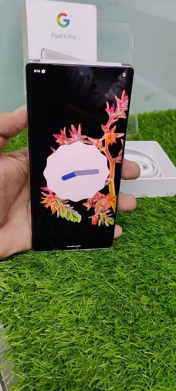 Google pixel 6 Pro PTA Approved 03298295983watsapp 1