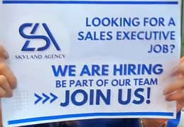 Hiring sale's Executive