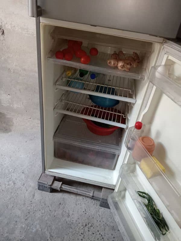 LG refrigerator 5