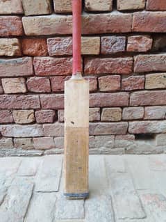 Hard ball bat english willow