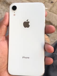 iPhone xr just minor damage / content number 03171861371