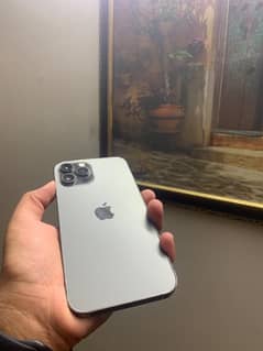 iphone 12 pro max (256gb)