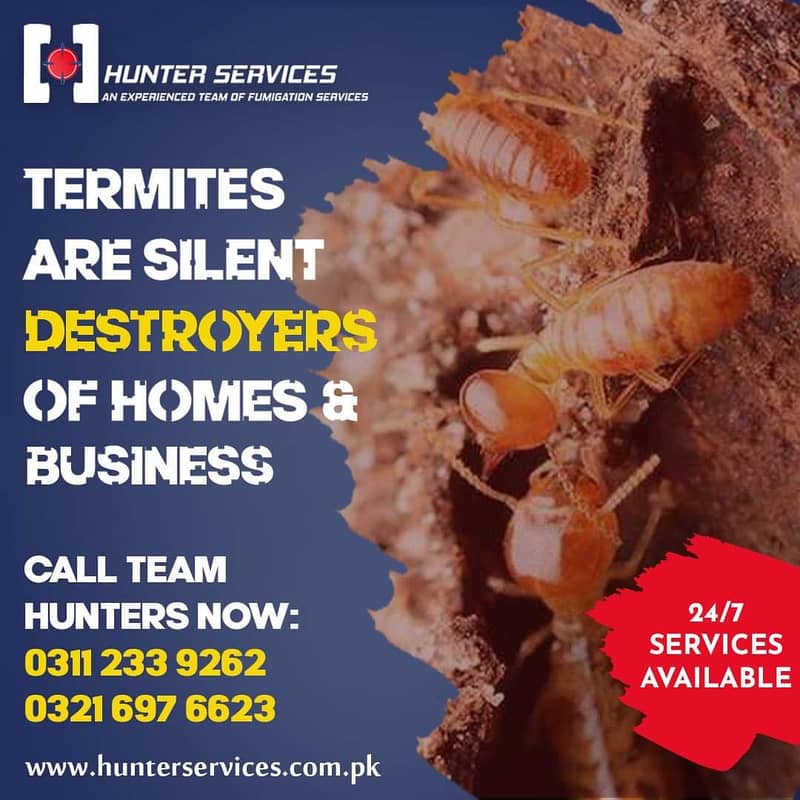 Termite control deemak control pest control services, fumigation spra 6