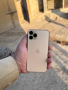 iPhone 11 Pro Golden Water Pack