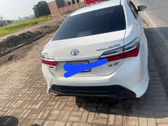 Toyota Altis Grande 2018 x