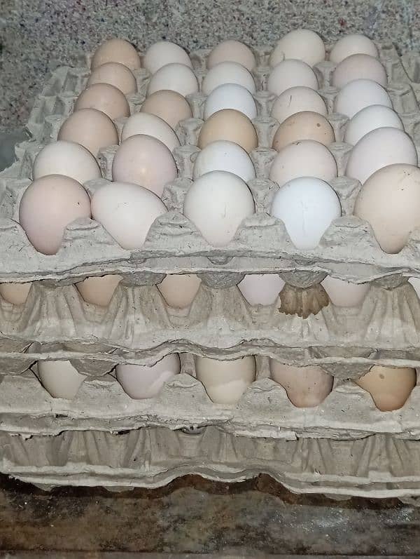 Desi eggs available 0