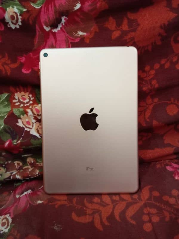 Apple I pad mini5 1