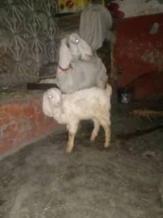 bakri with cute baby boy