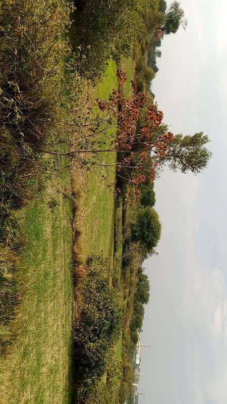 agricultural land property plots available for sale 1